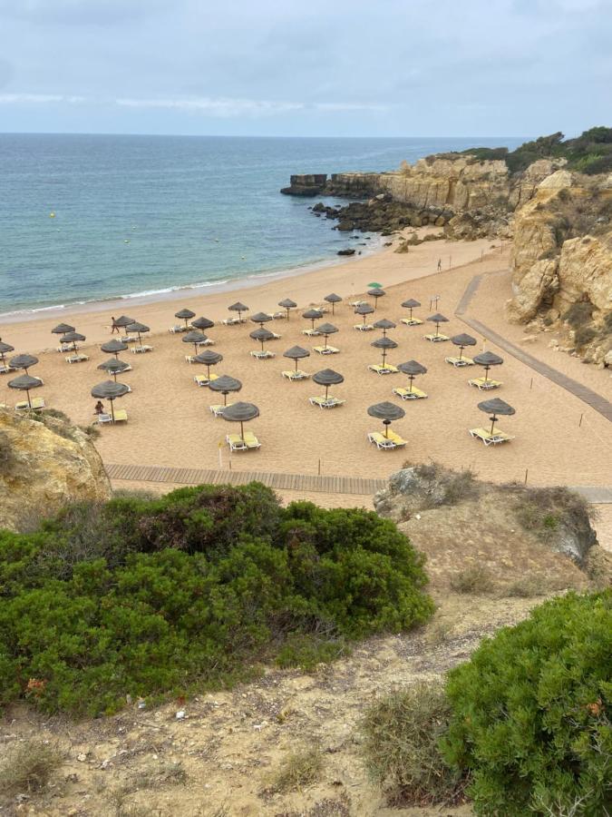 Parra Home Holidays - Close To Gale Beach Guia  Exterior foto